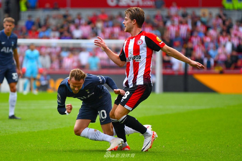 他们制定了 他们制定了